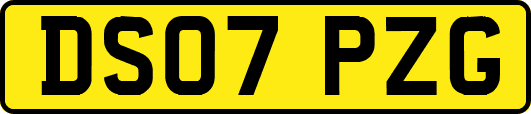 DS07PZG