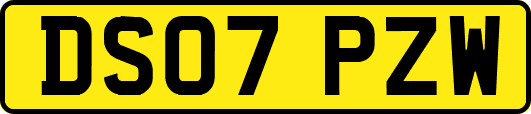 DS07PZW