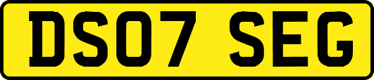 DS07SEG