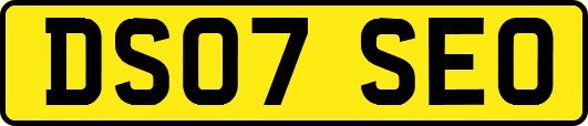 DS07SEO