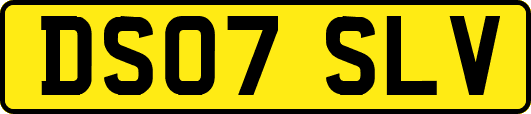 DS07SLV
