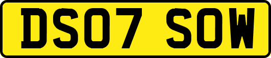 DS07SOW