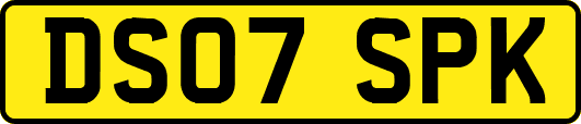 DS07SPK