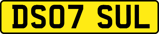 DS07SUL