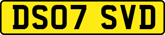 DS07SVD