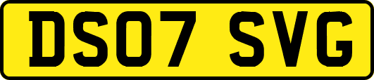 DS07SVG