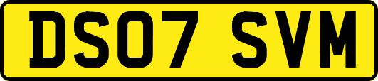 DS07SVM