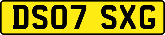 DS07SXG