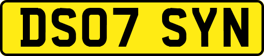 DS07SYN