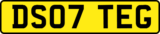 DS07TEG