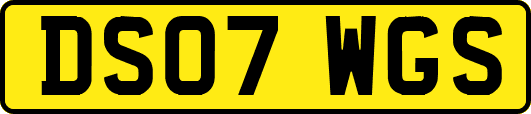 DS07WGS