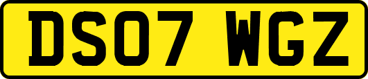 DS07WGZ