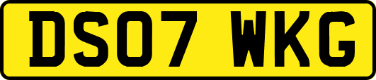 DS07WKG