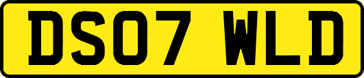 DS07WLD