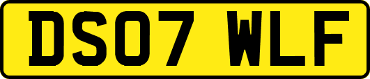 DS07WLF