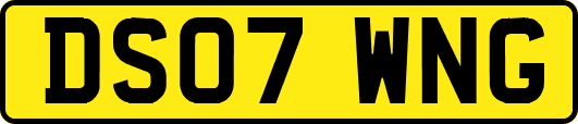 DS07WNG