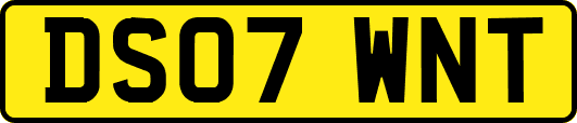 DS07WNT