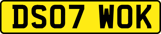 DS07WOK