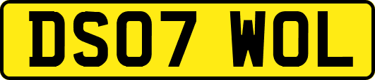 DS07WOL