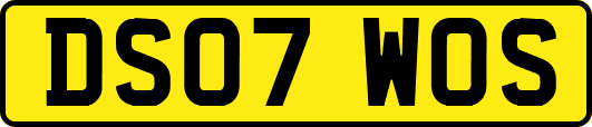 DS07WOS