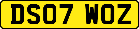 DS07WOZ