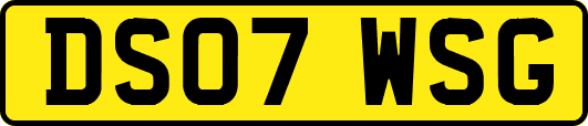 DS07WSG