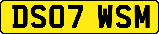 DS07WSM