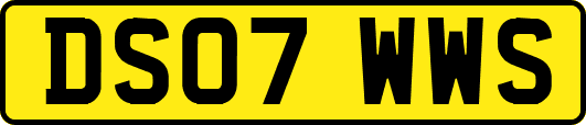 DS07WWS