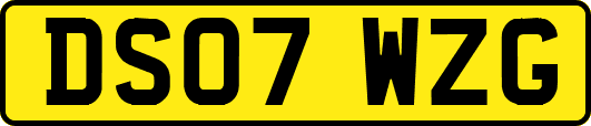 DS07WZG
