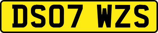 DS07WZS