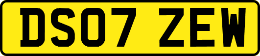 DS07ZEW