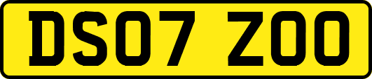 DS07ZOO