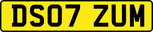 DS07ZUM