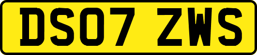 DS07ZWS