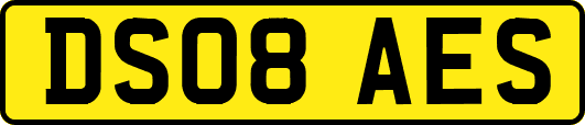 DS08AES