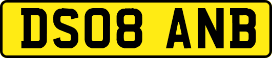 DS08ANB