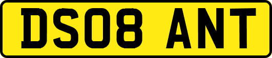 DS08ANT