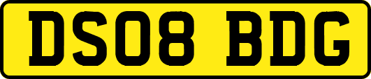 DS08BDG
