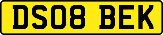 DS08BEK