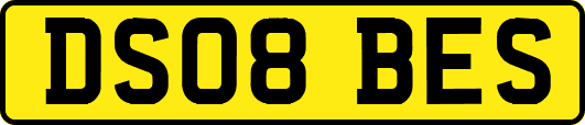 DS08BES
