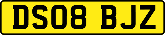 DS08BJZ