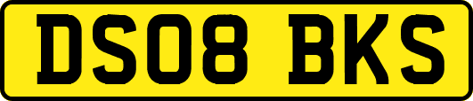 DS08BKS