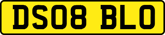 DS08BLO