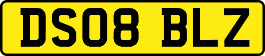 DS08BLZ
