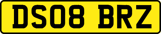 DS08BRZ