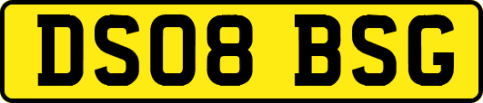 DS08BSG