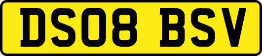 DS08BSV