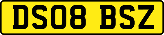 DS08BSZ