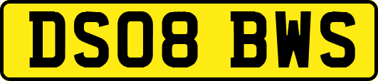 DS08BWS