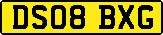 DS08BXG